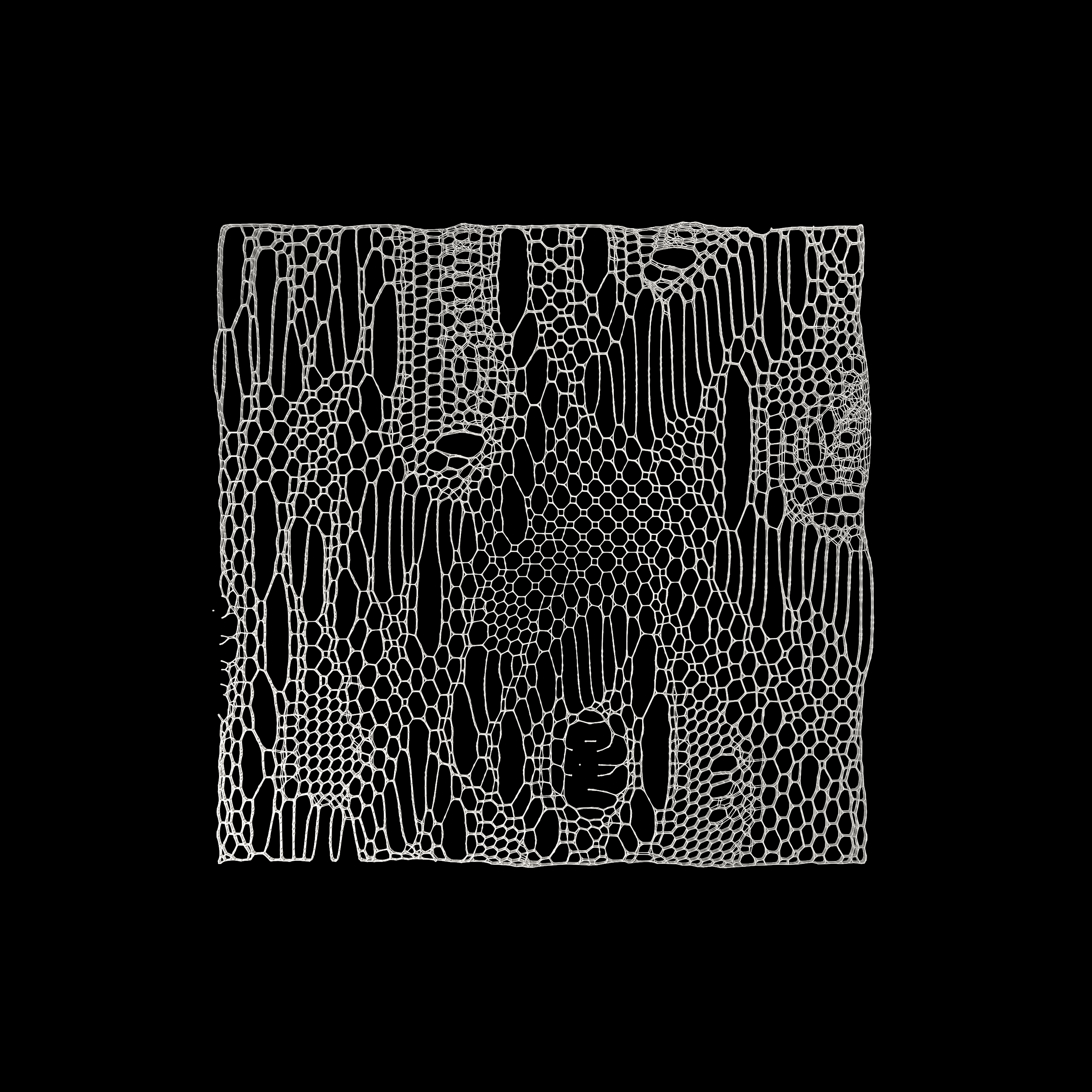 Fabric Structures generative connection study
