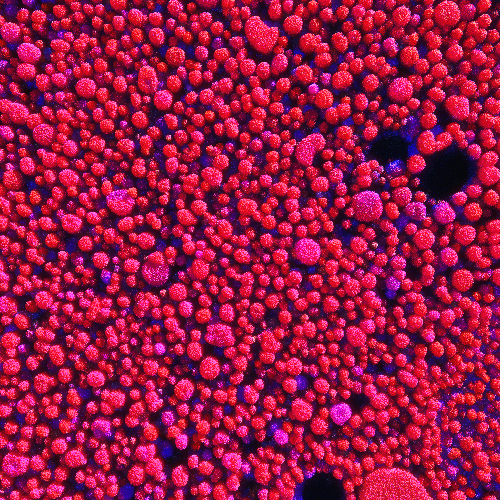 Funzioni procedural composition driven by evolving fields