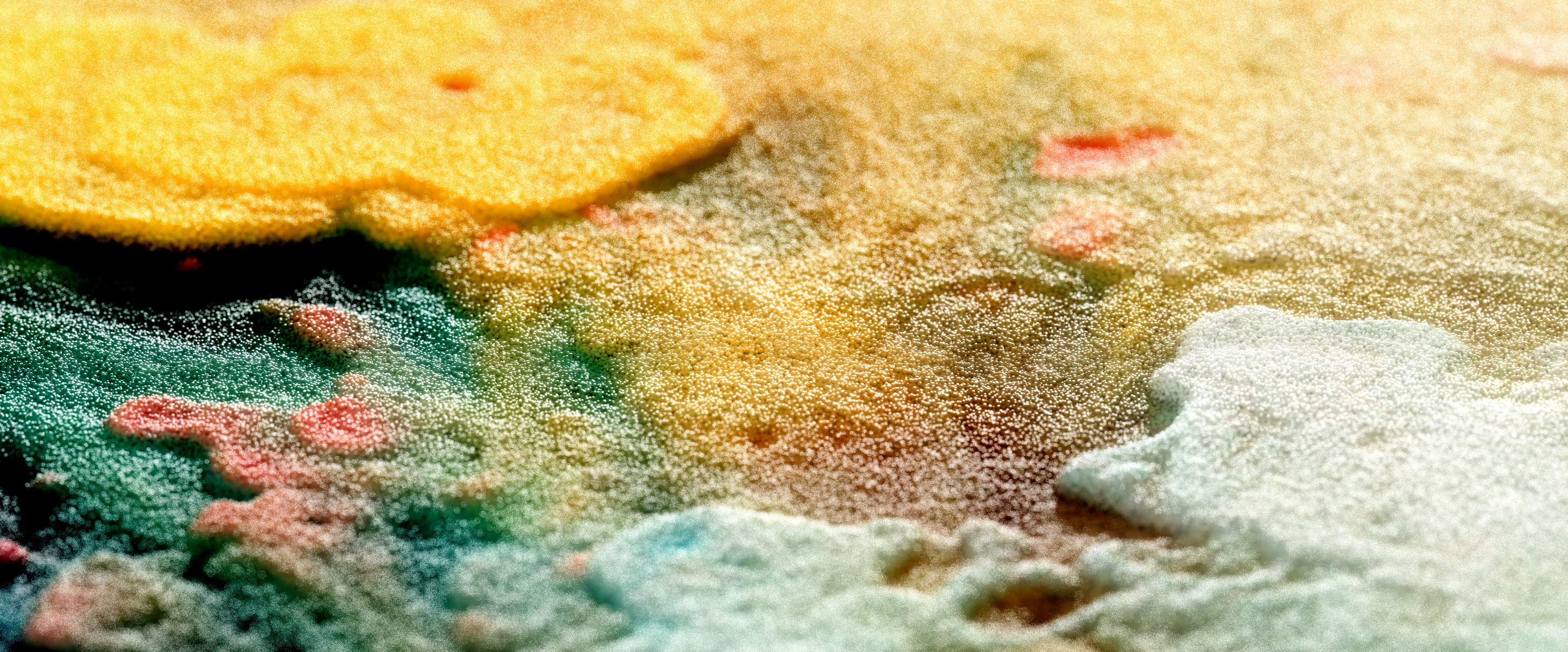 &fnof;(x) Funzioni, procedural visual experiment by Filippo Batavia