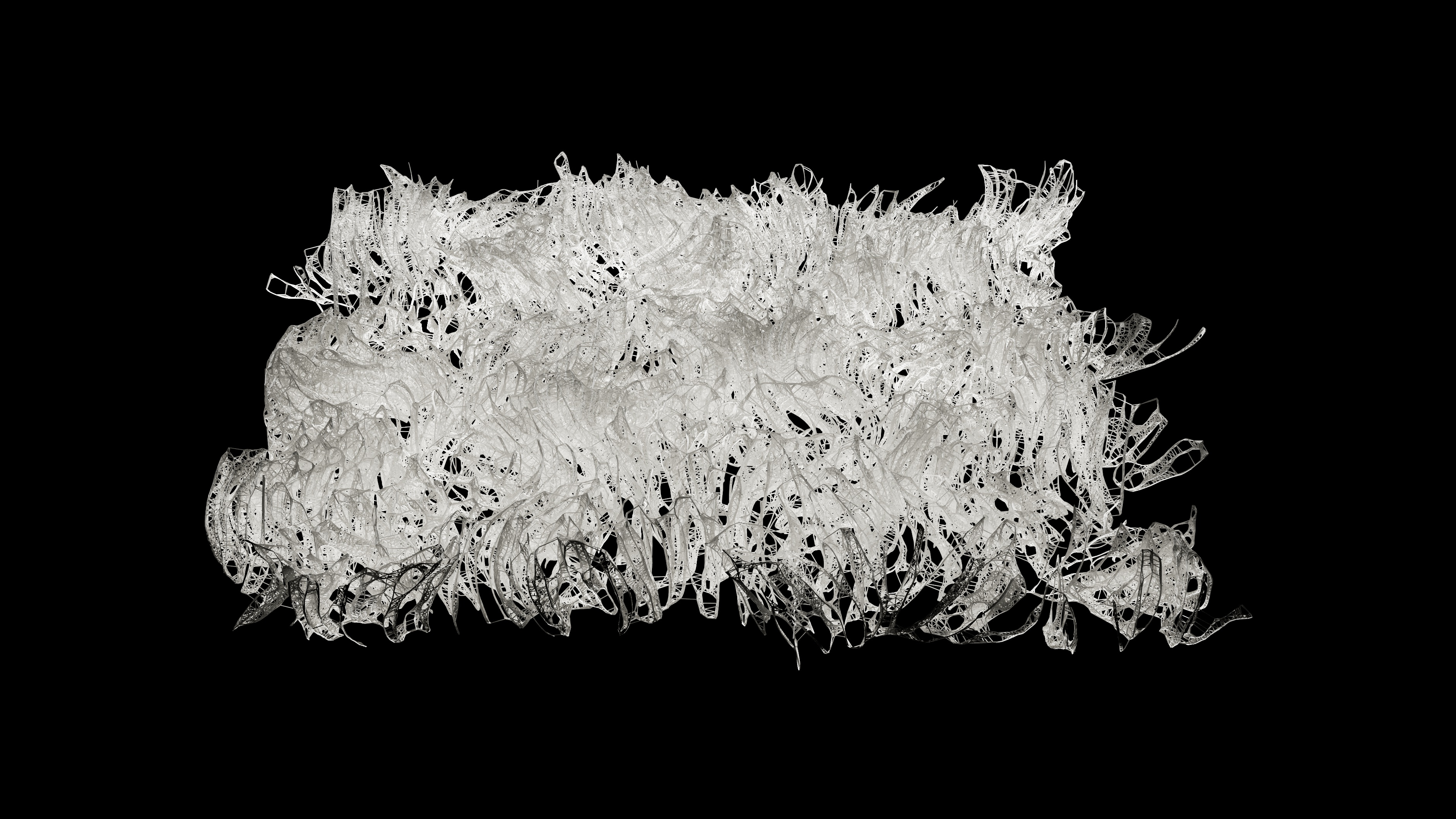 Coral-like computational structure generated through selective shortest-path connectivity
