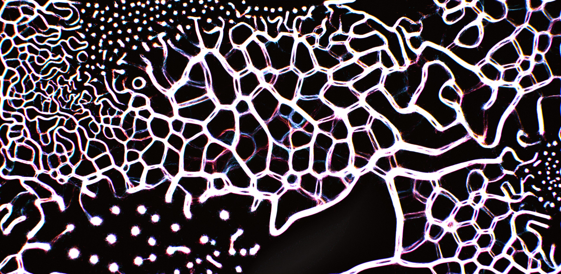 Mikro physarum-like network grown in real time with WebGL2