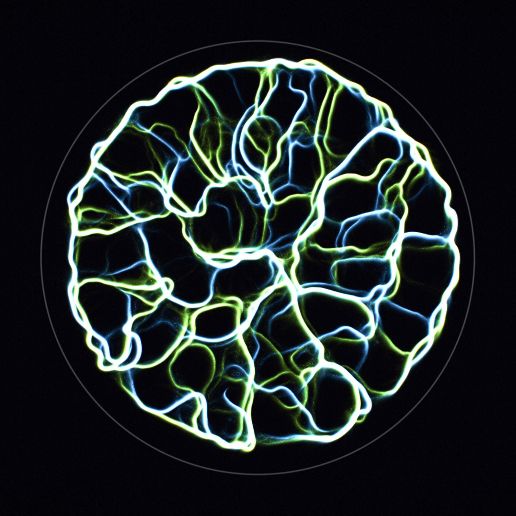 Mikro tissue-like structure formed by overlapping growth regimes