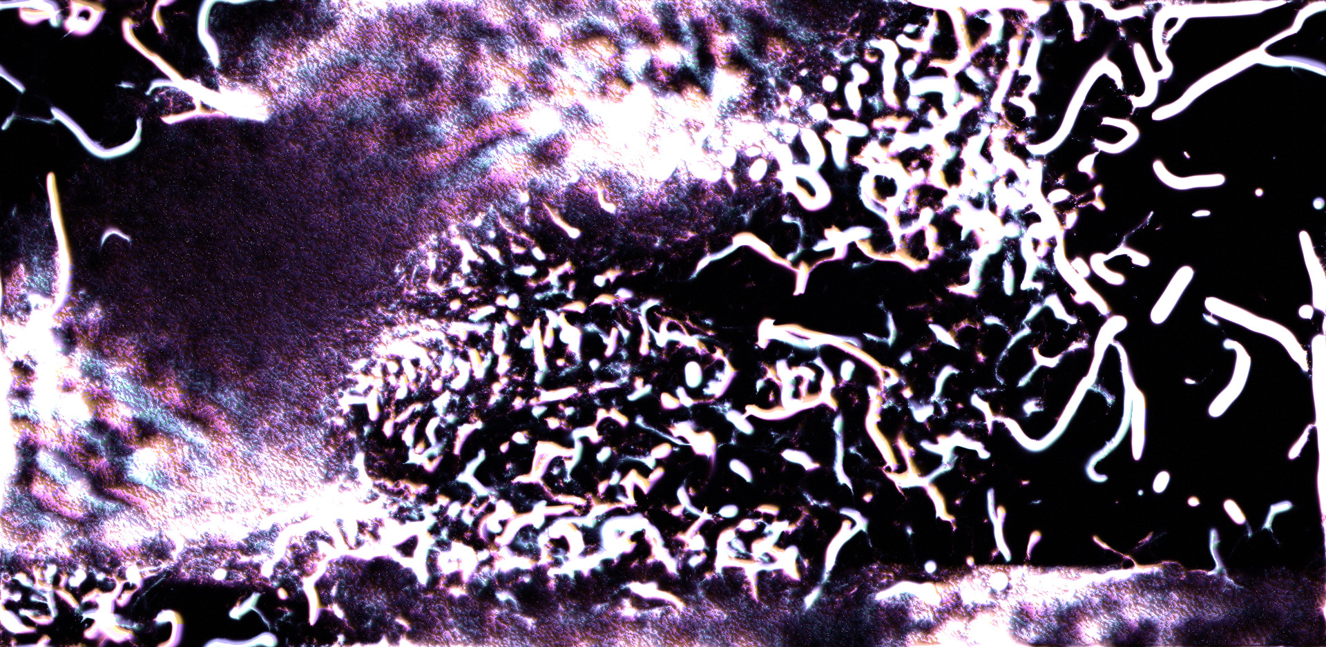 Mikro culture rendered through a four-stop palette with iridescence