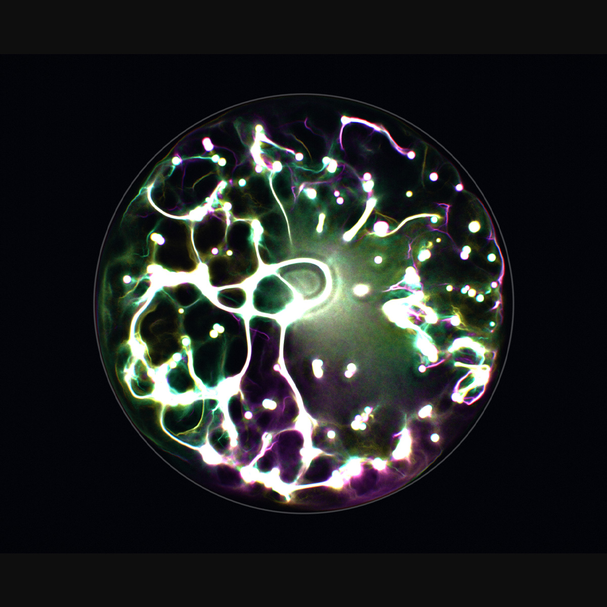 Multistage Physarum transport network left by agent traffic