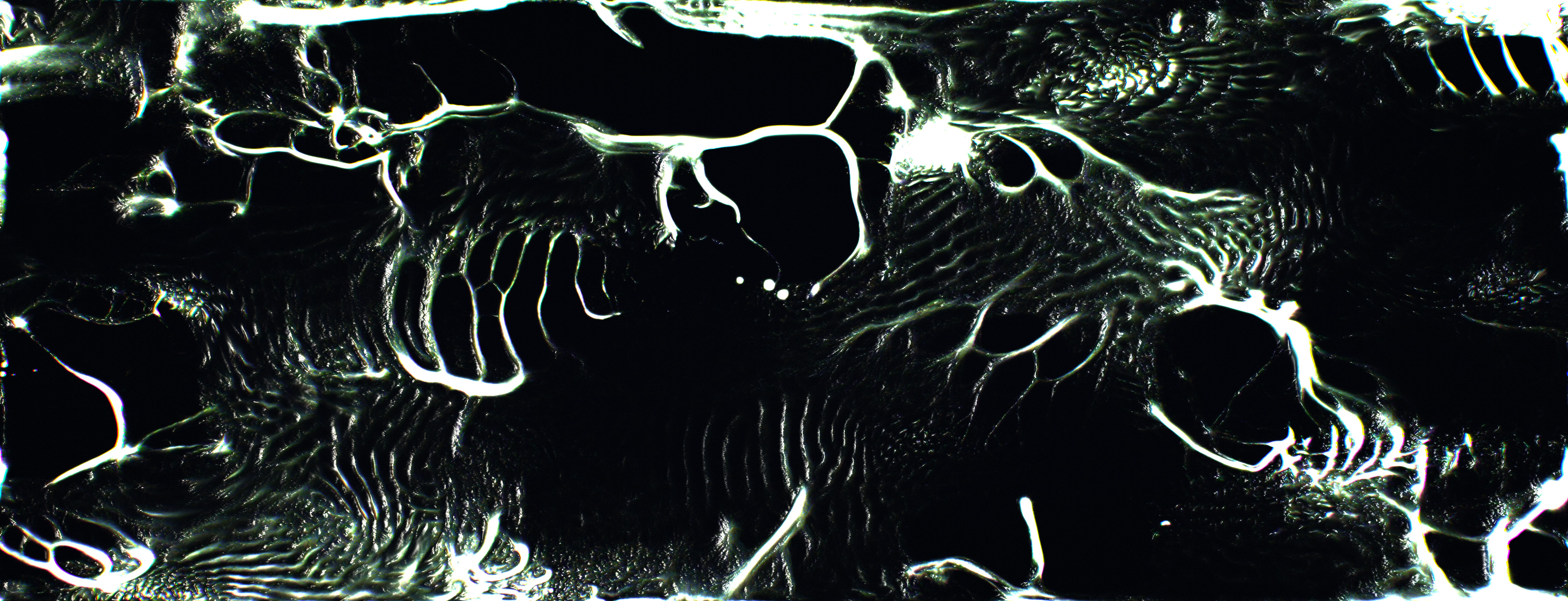 Multistage Physarum culture grown with the Mikro engines